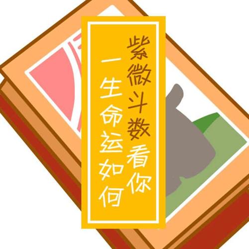 八字算学历高低 占星测配偶长相 开始测试 导读 1 2 3 紫薇命盘各命宫