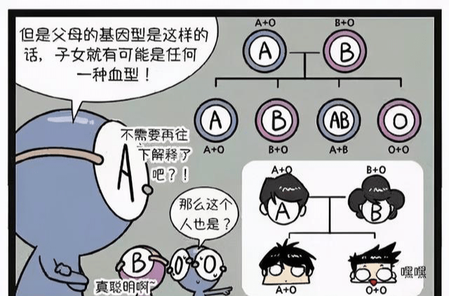 o型血可以救o型血的人吗_o型圈o型圈o型圈百度_o型与ab型血型可以生小孩吗