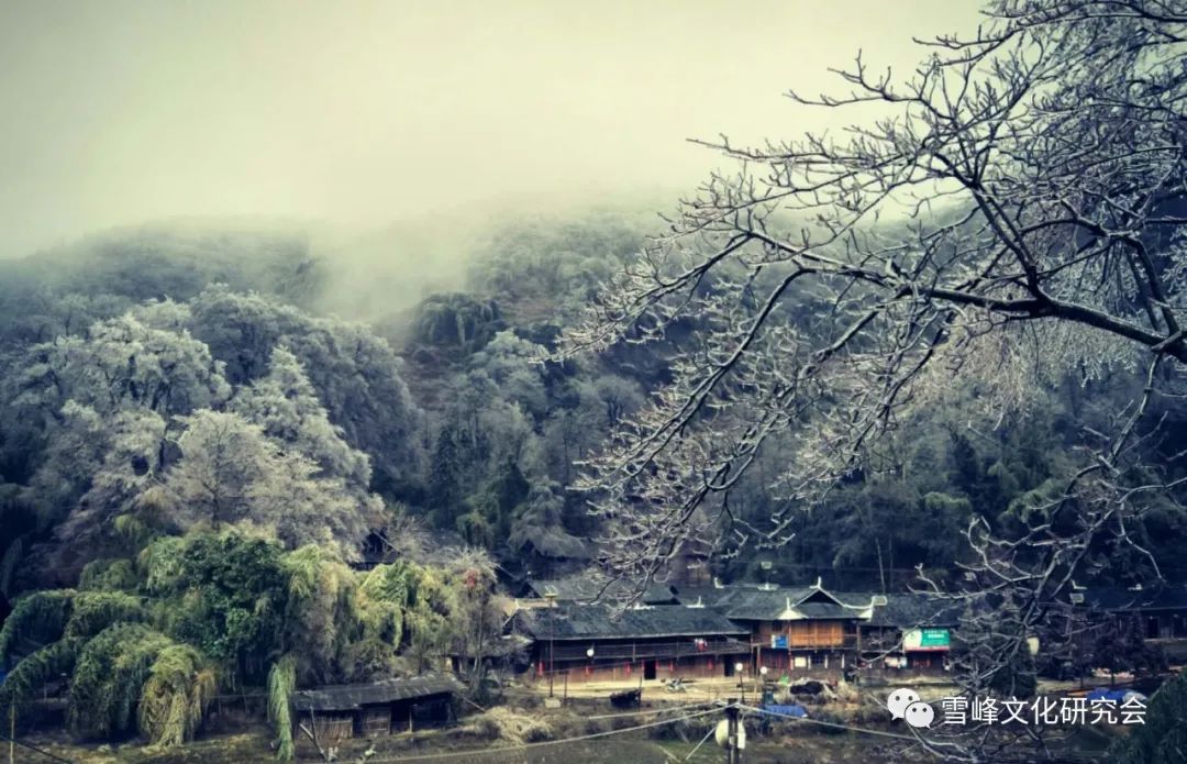 花瑶花护肤品怎么样_花瑶婚俗_花瑶花