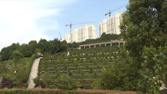 墓地建设成本_木屋建设成本_村公益性墓地建设申请