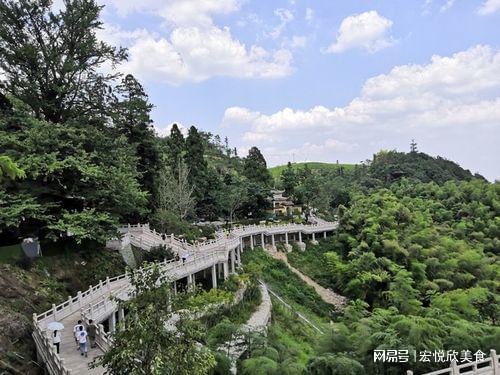 天门山索道建造_梵净山上面的庙是怎么建造的_庙是苏武庙 碑是李陵碑