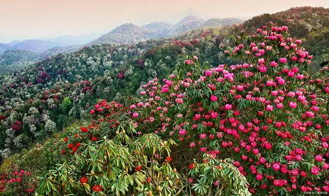 庙是苏武庙 碑是李陵碑_庙是什么庙,碑是李陵碑_梵净山上面的庙是怎么建造的