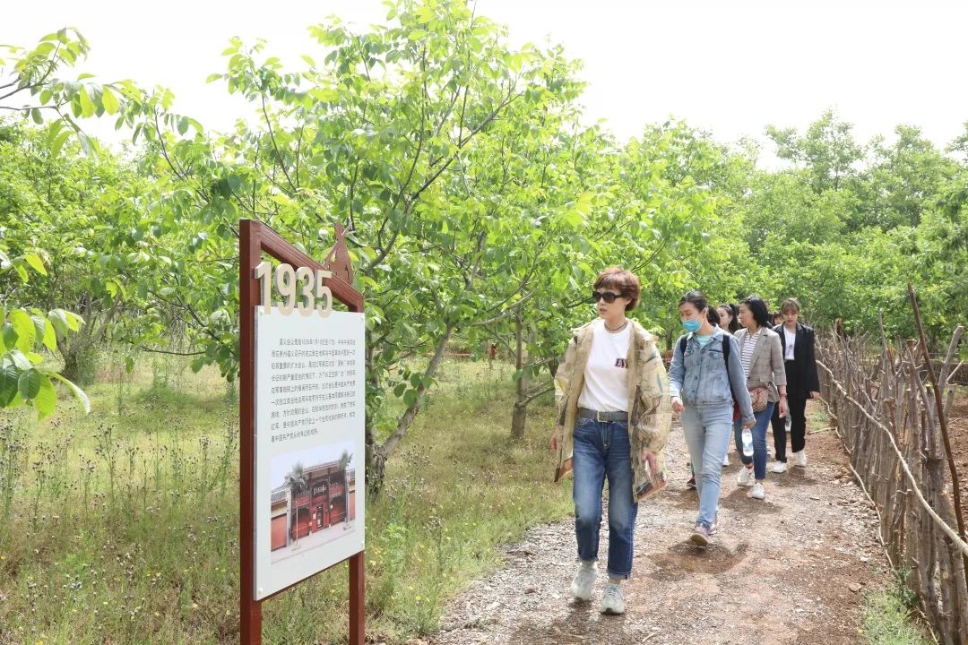 庄子村_黄骅市齐家务乡高庄子村,永红村,新村_曲庄子村