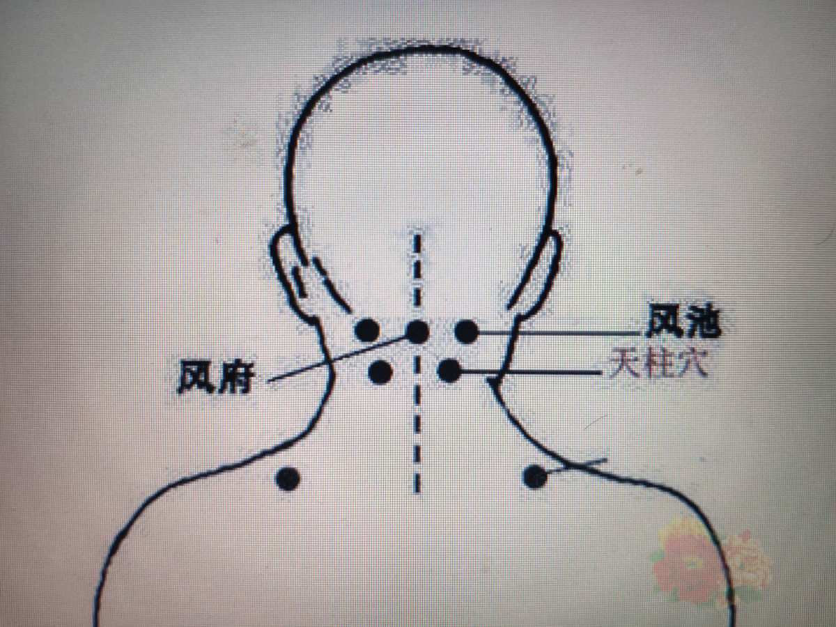 左右手血压哪个高_高血压的针灸视频_血压下面高吃什么药