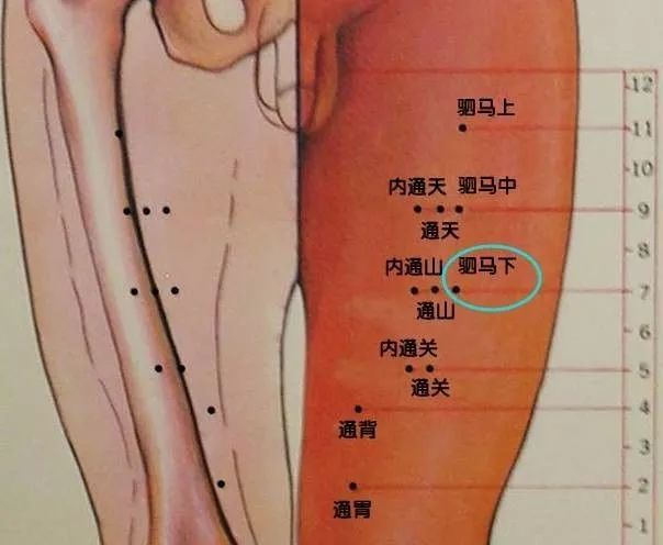 左右手血压哪个高_高血压的针灸视频_血压下面高吃什么药