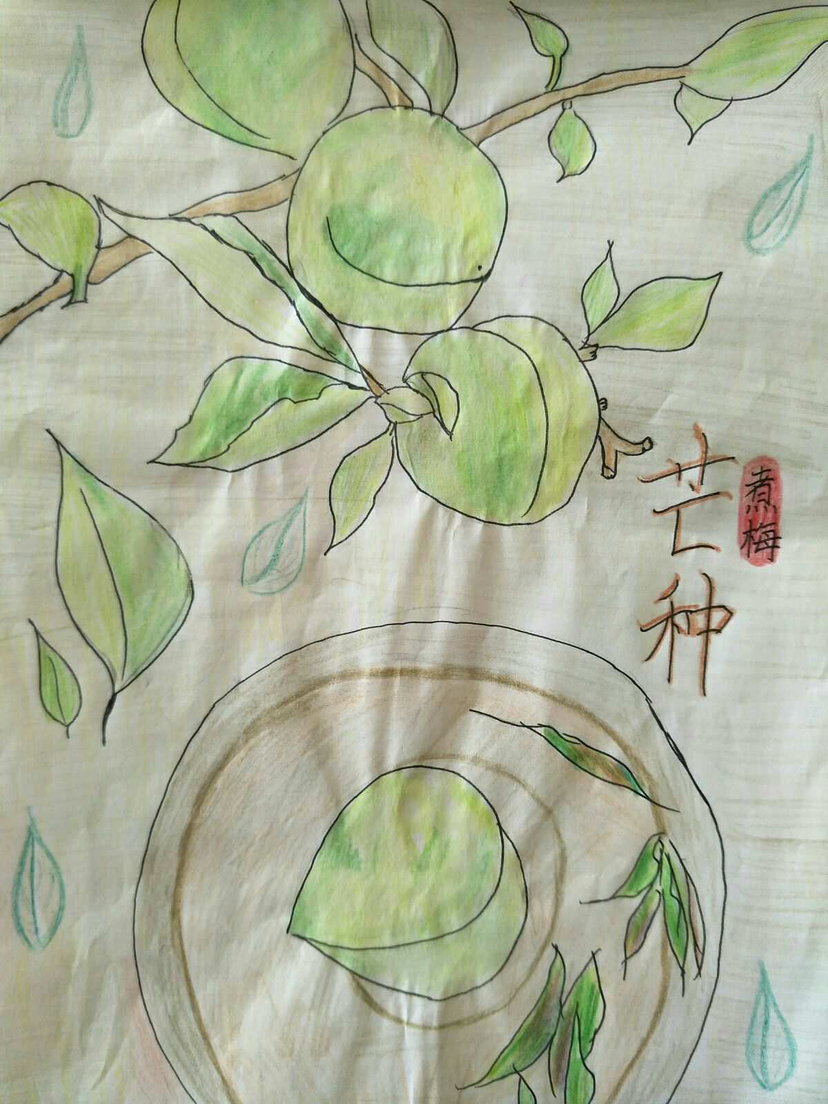 节气文化_芒种是24节气当中的地几个节气_一年24个节气,立夏吃乌米饭,其他节气吃什么