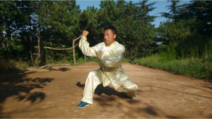 象形拳狗拳_武术象形拳_象形武术丛书pdfpdf