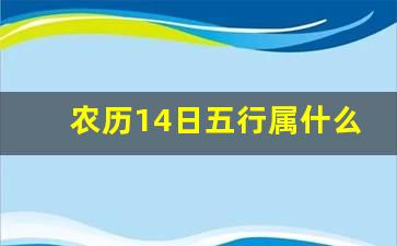 农历14日五行属什么命