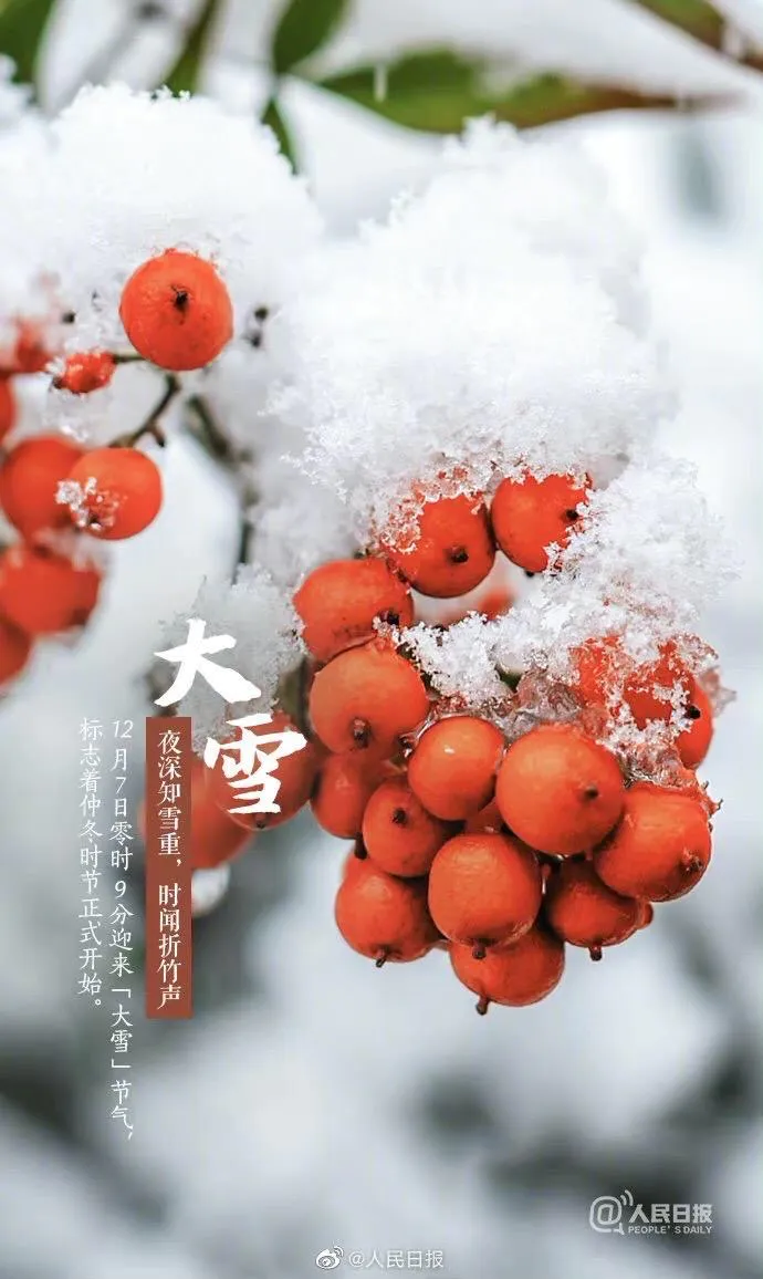 24节气大雪图片大全_大雪节气文案_二十四节气大雪谚语大全