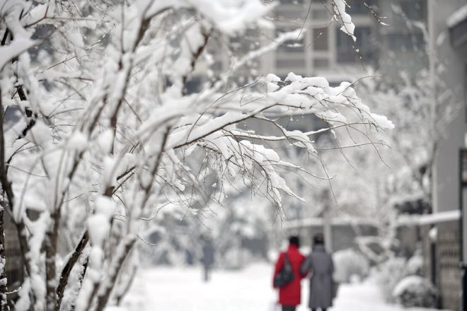 二十四节气大雪谚语大全_农谚谚语大全24节气_节气谚语大全