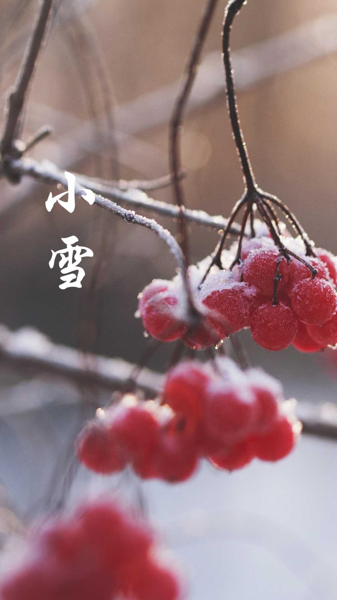 电子绘本和纸质绘本_绘本没有牙齿的大老虎绘本_小雪节气的绘本