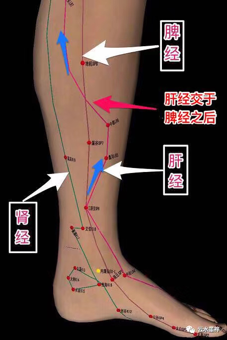 高血压针灸_血压左臂比右臂高_右臂血压比左臂高