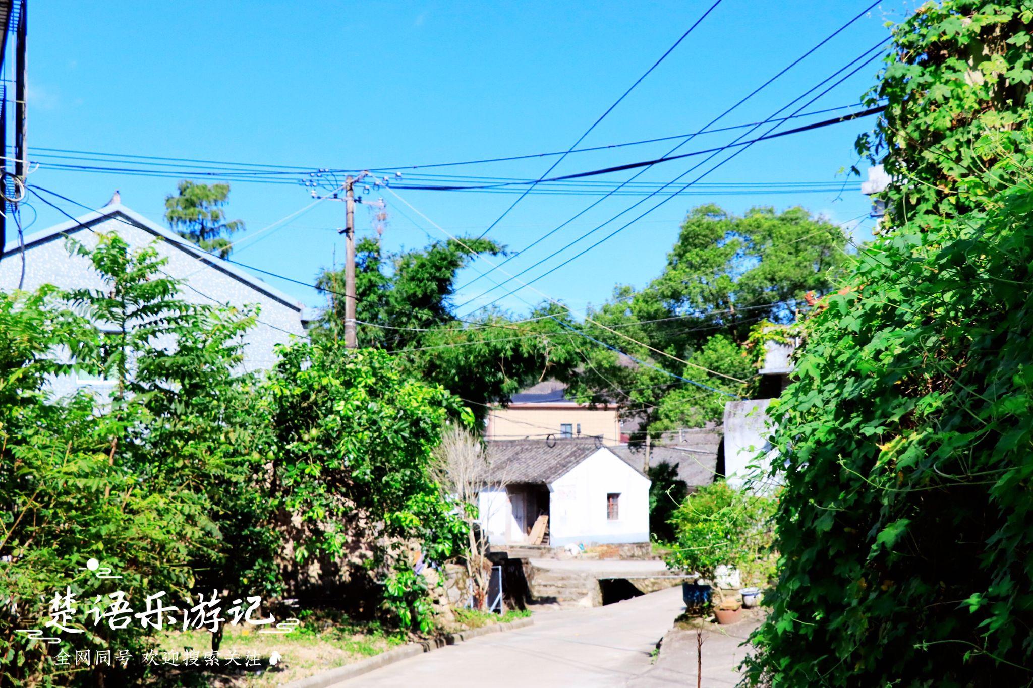 净坛使者庙_社稷坛的主体建筑_坛庙建筑有哪些