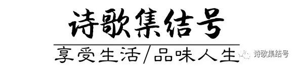 杜甫诗歌风格是_对杜甫诗歌的理解_杜甫的诗歌