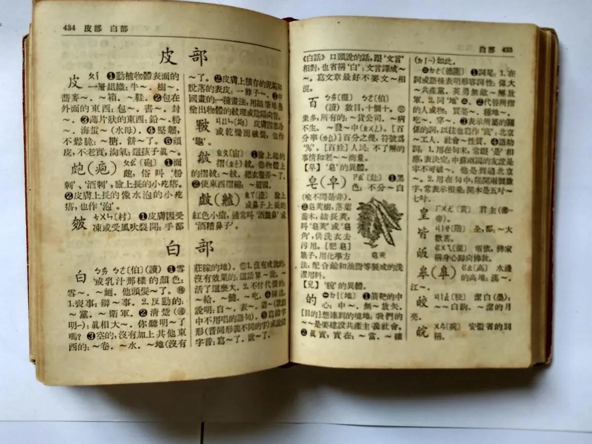 字典词典区别在哪_字典和词典的不同_词典字典区别