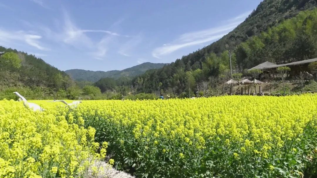 尤溪农家乐带动农民_尤溪有什么山庄_尤溪农家乐