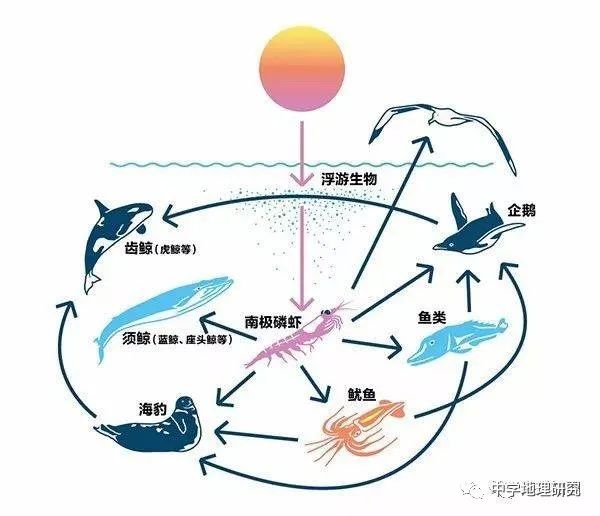 大洋洲自然地理特征_福州大洋鹭洲龙园怎样_福州大洋鹭洲户型图