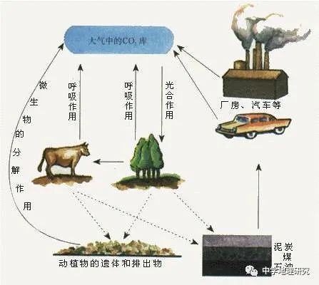 福州大洋鹭洲龙园怎样_大洋洲自然地理特征_福州大洋鹭洲户型图