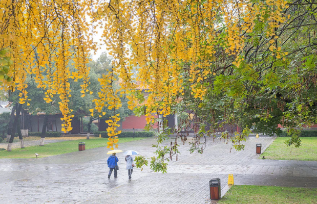 风雨成语四个字_什么什么风雨成语_风雨的成语