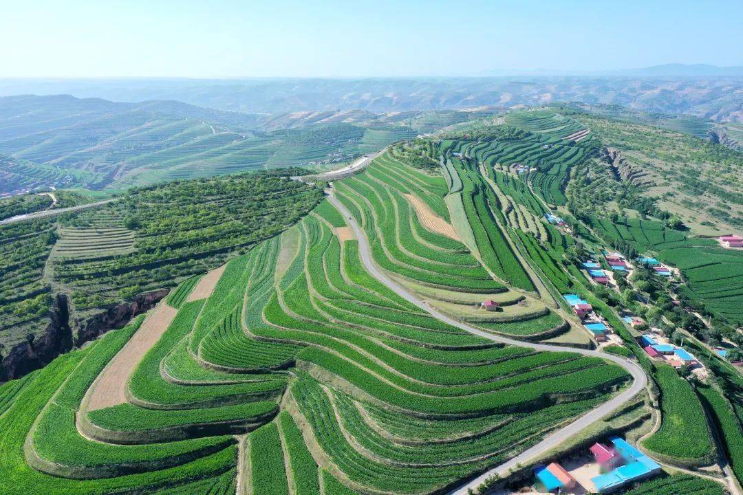 宁夏古遗址_宁夏固原历史文化遗址_宁夏固原发现千年古墓