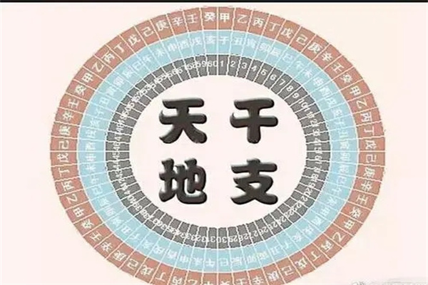 八字看天干还是地支.jpg