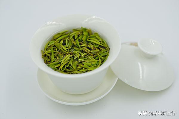 喝完酒喝绿茶能解酒吗_喝酒后喝绿茶能解酒吗_醉酒喝绿茶能解酒