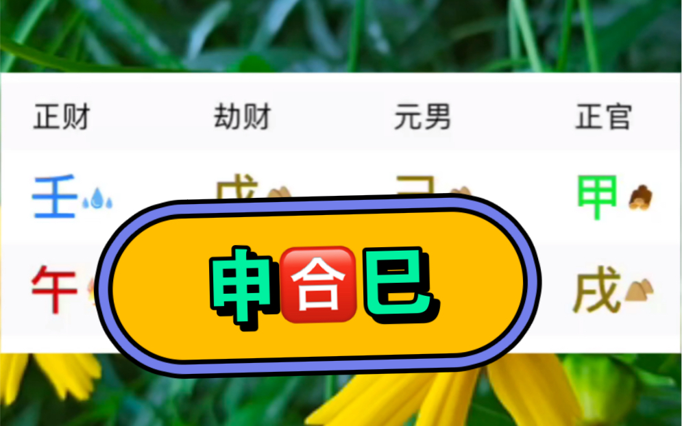 申合子能解子午相冲吗_申合子还是子合申_申子合