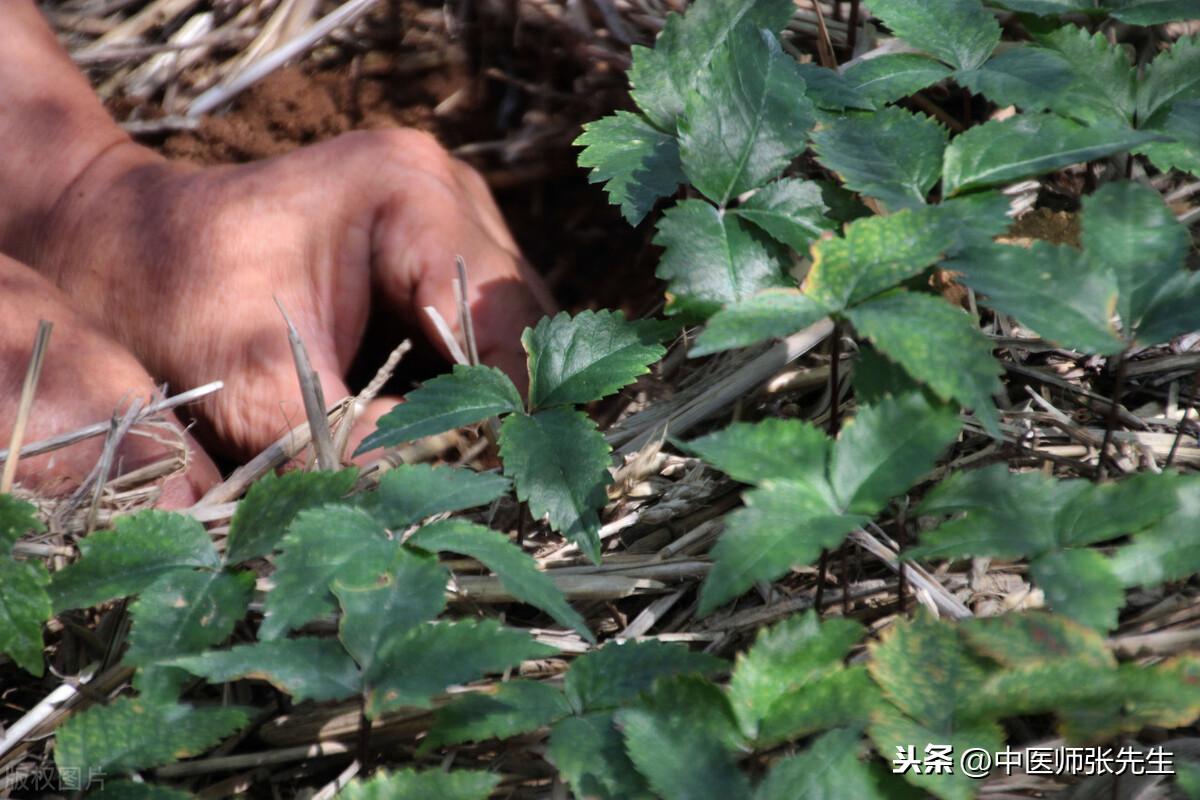 气功气是丛尾骨吸气吗_气功里的气到底是什么_气功的气是什么