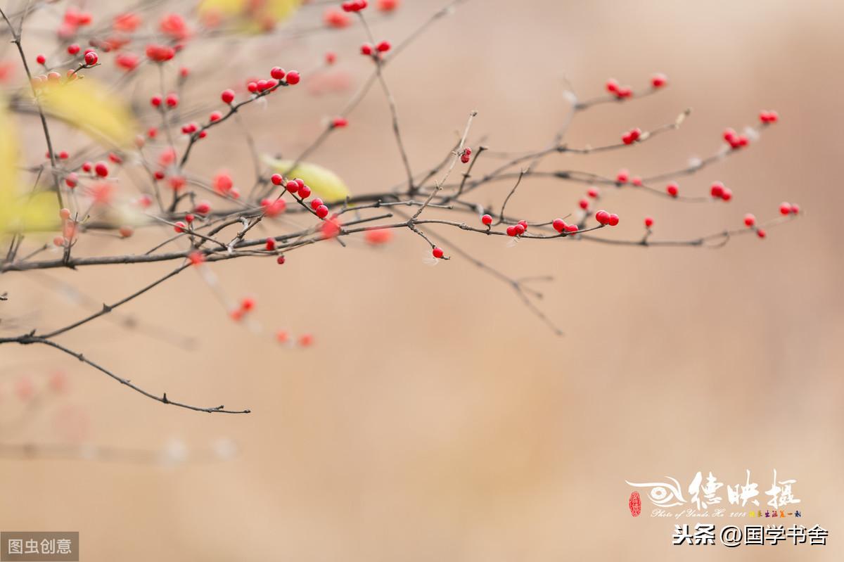 庄子无为名句_庄子说的无为_庄子无为