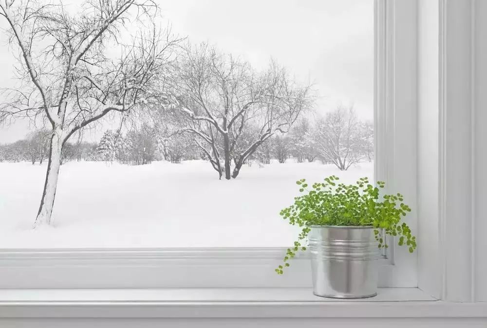 大雪节气今天吃什么_今天大雪节气_大雪节气今天好不好