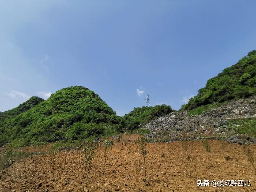 建造坟墓的基本要求_坟地建造图_建墓地图纸