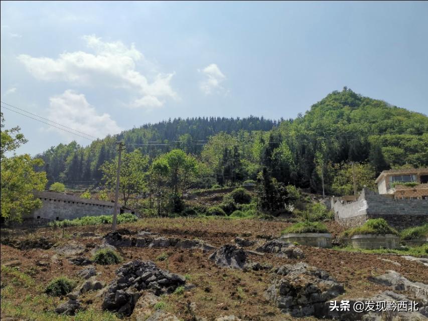 坟地建造图_建墓地图纸_建造坟墓的基本要求