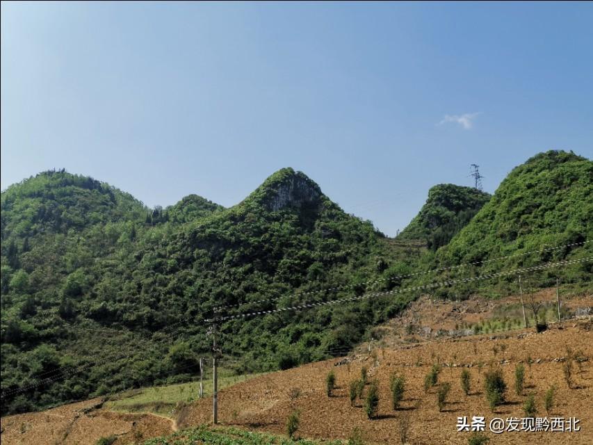 建造坟墓的基本要求_建墓地图纸_坟地建造图