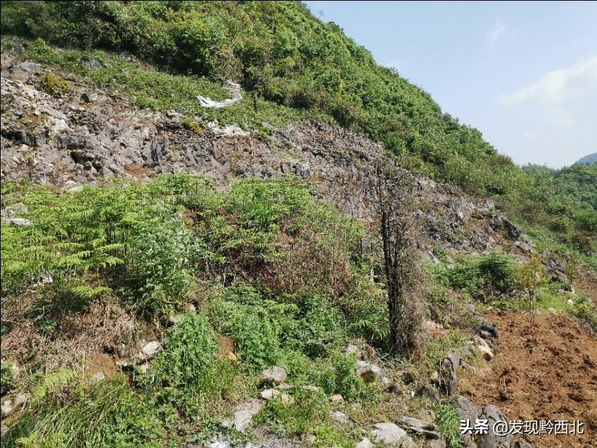 建墓地图纸_建造坟墓的基本要求_坟地建造图