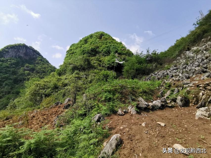 坟地建造图_建墓地图纸_建造坟墓的基本要求