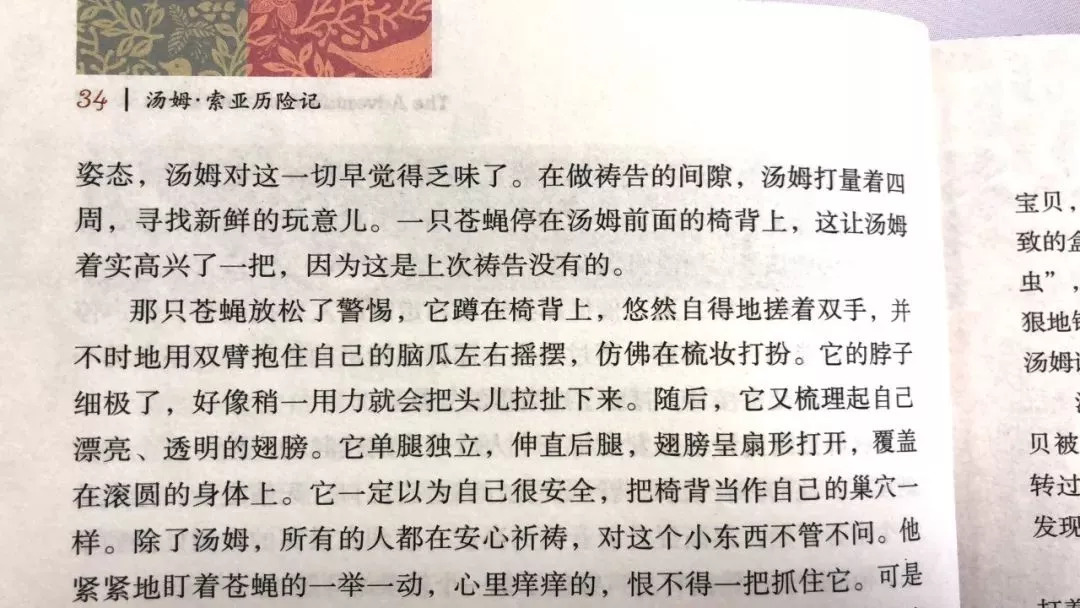 名家名著读后感400字_名家名著读后感知乎_读名家名著