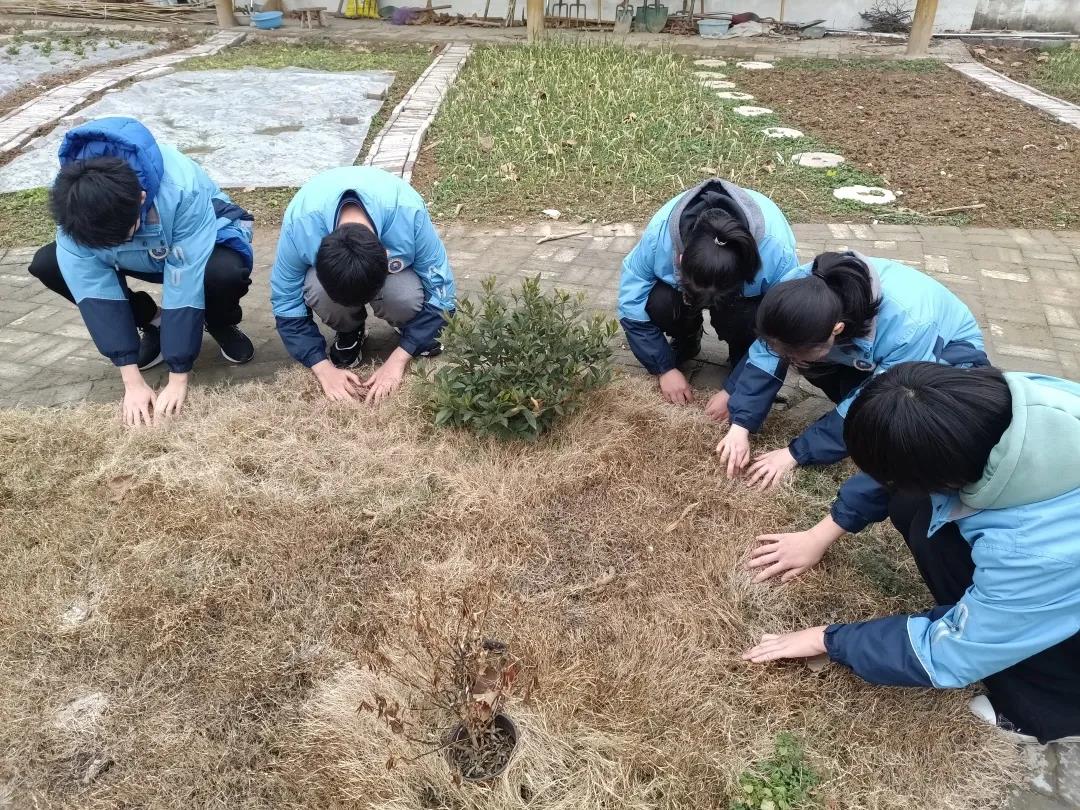 雨水传统活动_雨水活动_雨水节传统