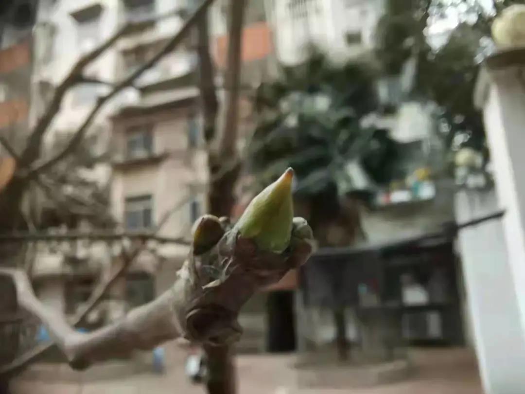 雨水传统活动_雨水节传统_雨水活动