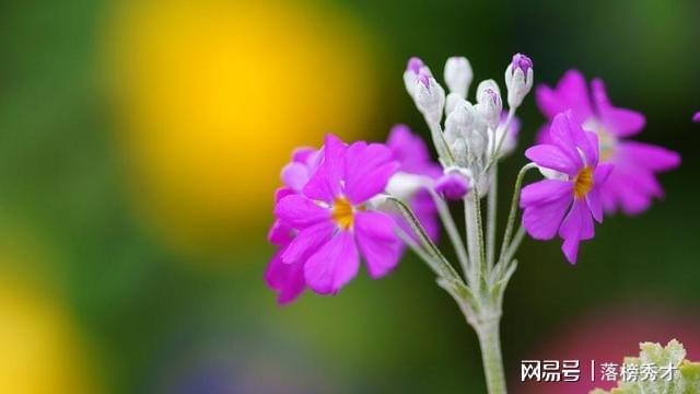 荀子时期音乐_荀子时期有纸吗_荀子哪个时期的