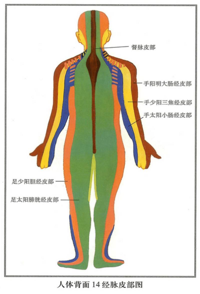 打通经络的成语_经络成语_经络成语