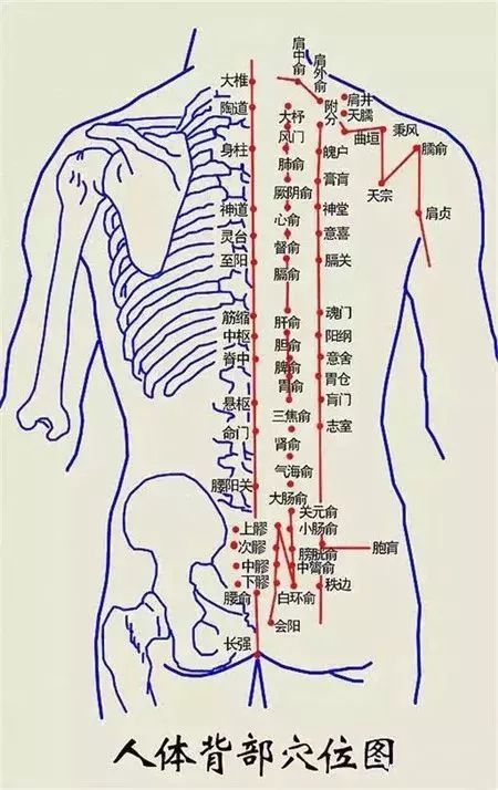 经络成语_经络大成_经络词语