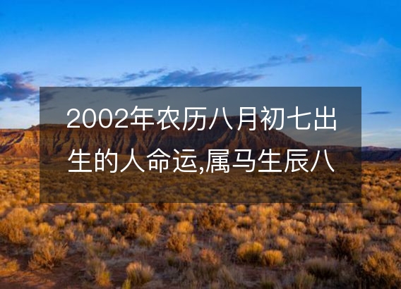 2002年农历八月初七出生的人命运,属马生辰八字运势 五行查询