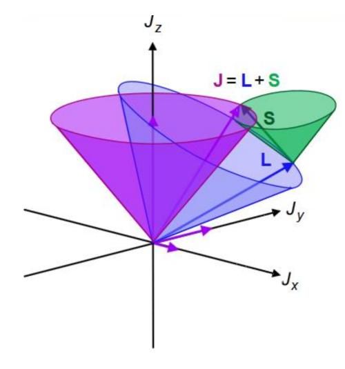 量子哲学是什么_量子哲学经典语录_量子哲学