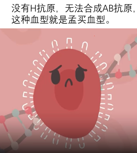 血型那种最多_血型遗传规律表_血型怎么自己查