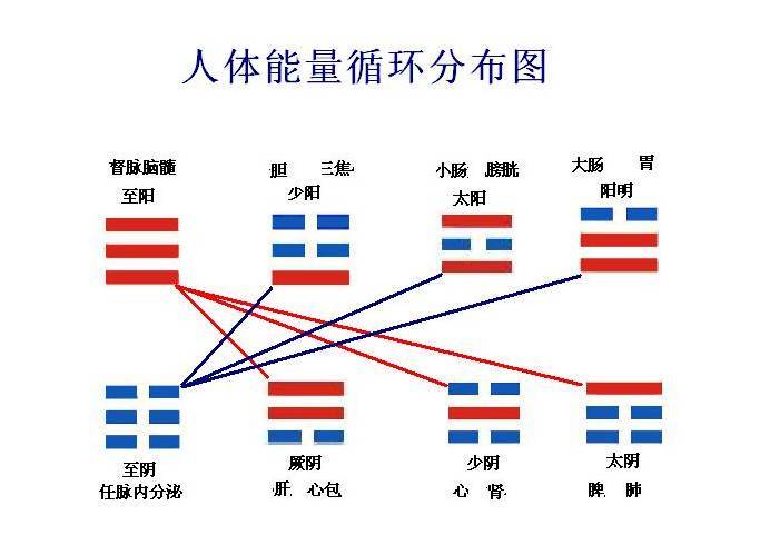 阴阳行当小说_阴阳行骄傲的萝卜_阴阳行