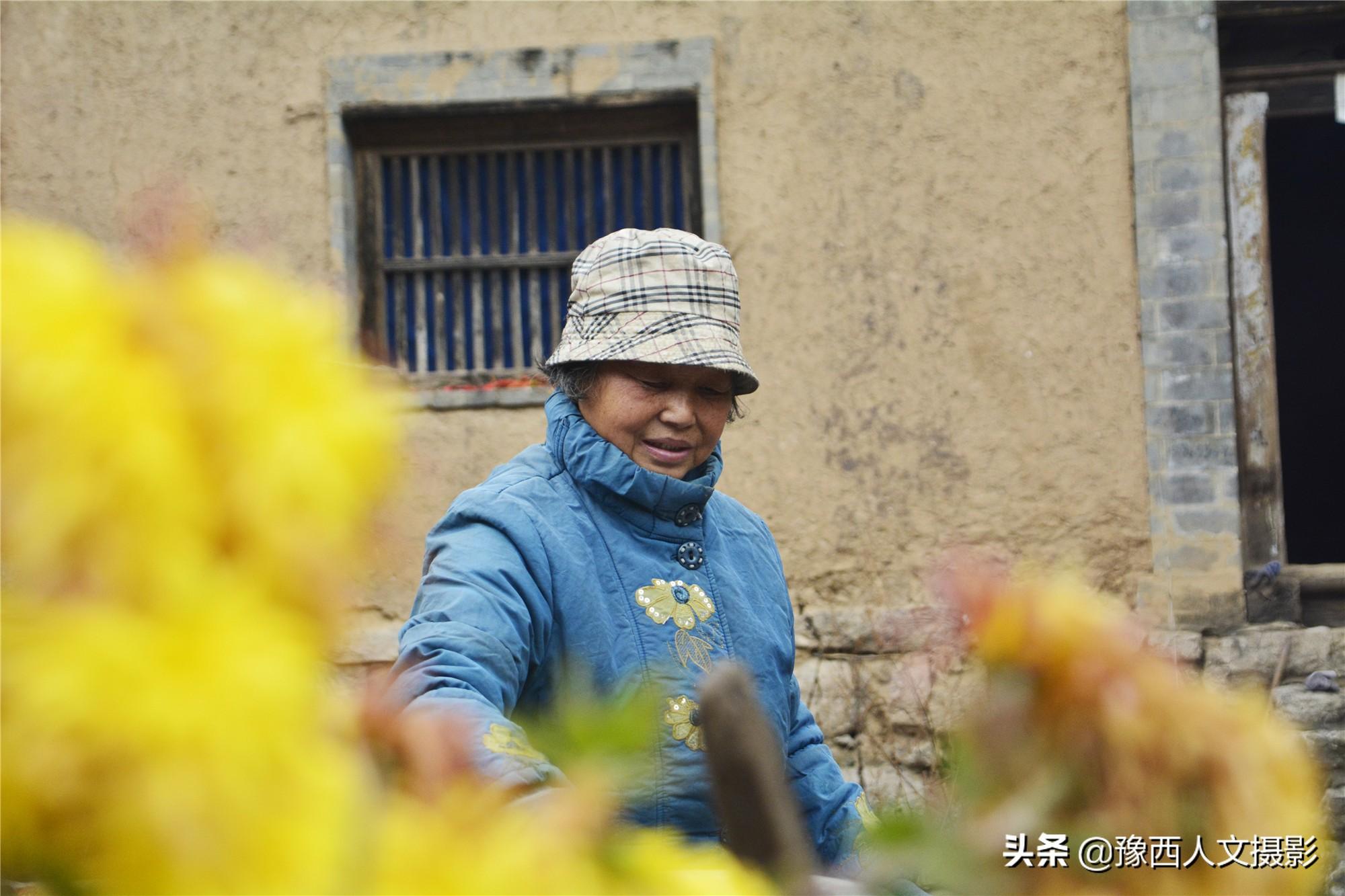 伊河源风景区农家3号院价格_伊河源风景区农家_伊河源民宿