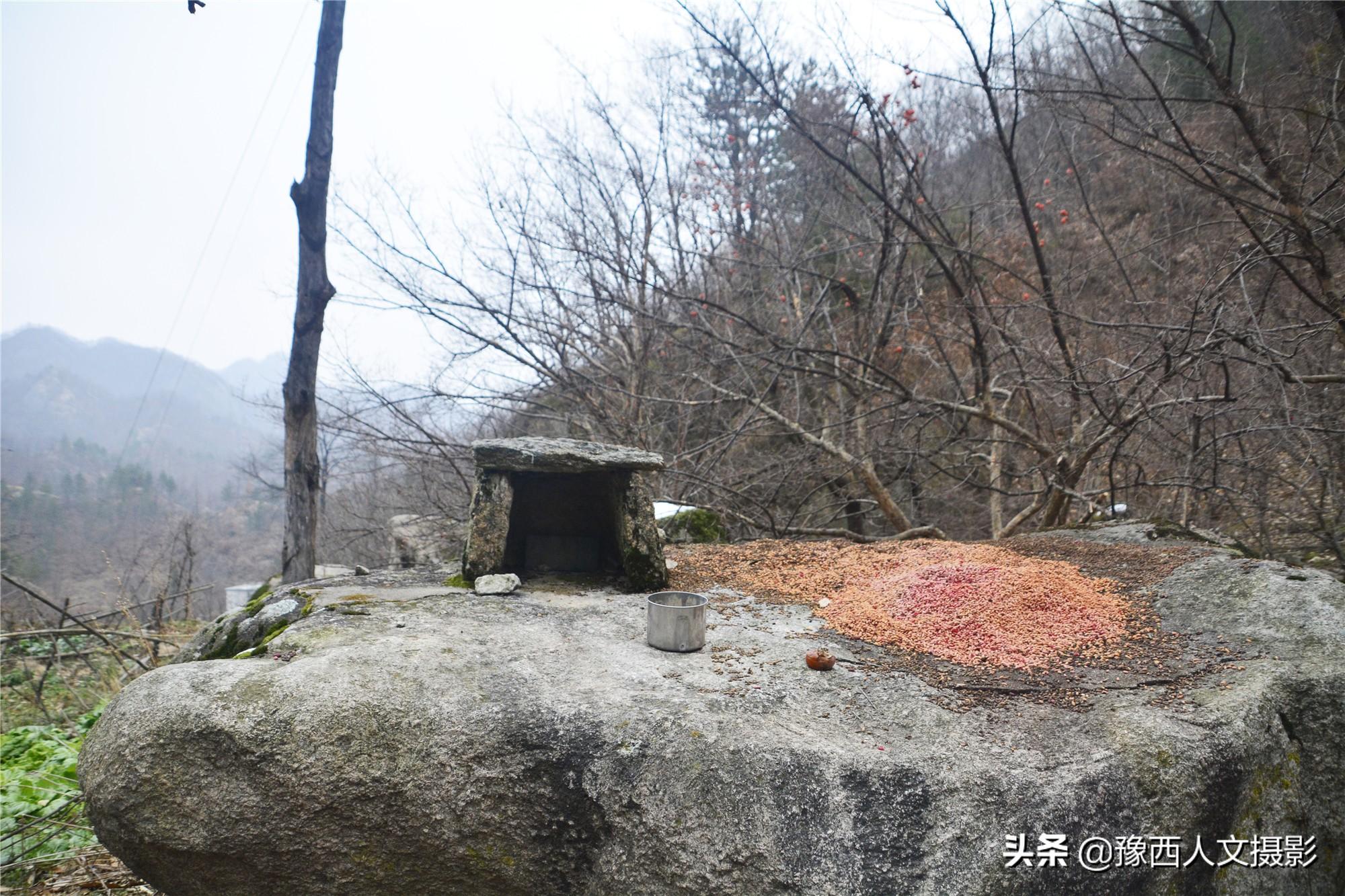 伊河源风景区农家_伊河源风景区农家3号院价格_伊河源民宿