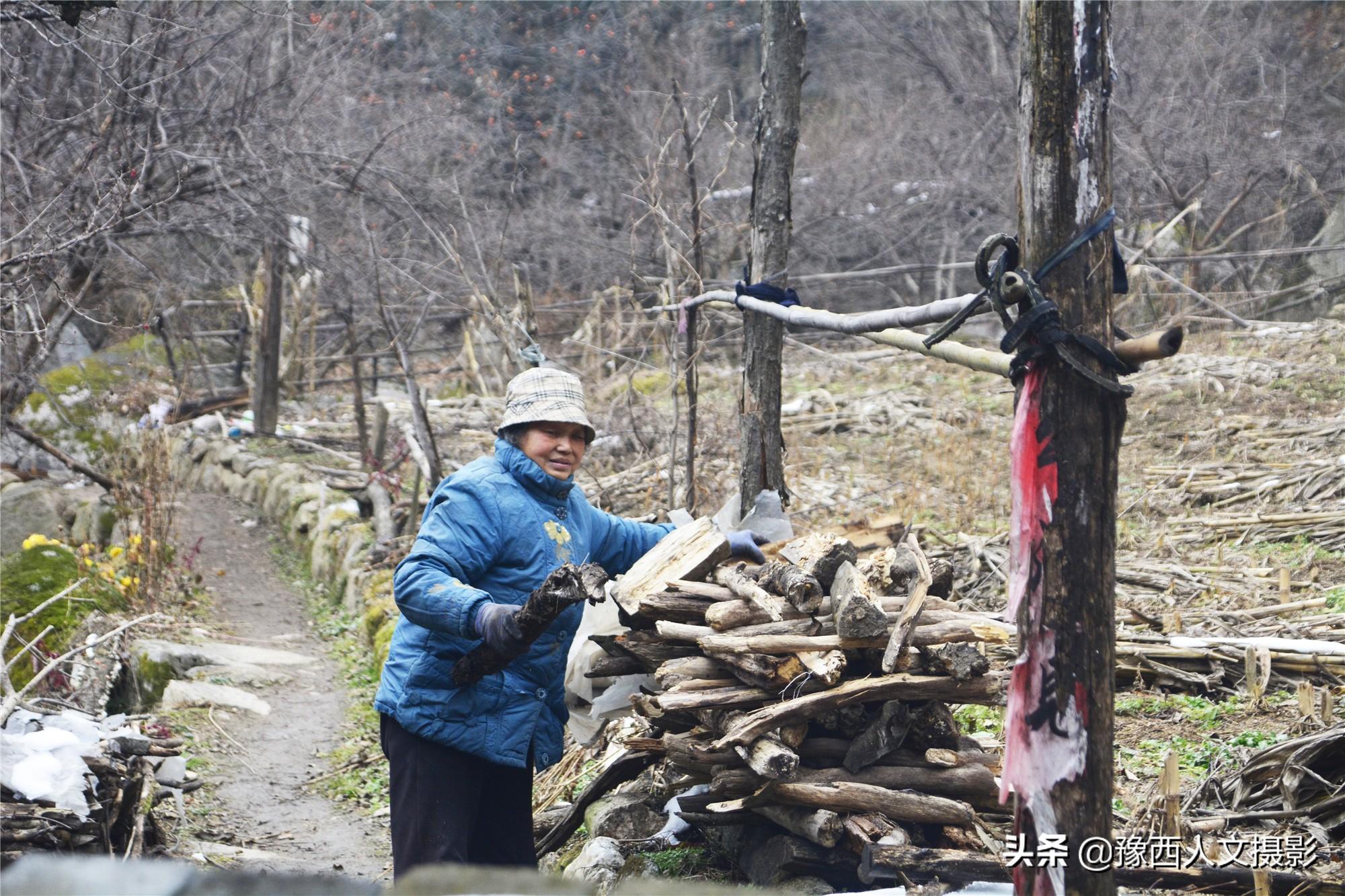 伊河源民宿_伊河源风景区农家_伊河源风景区农家3号院价格