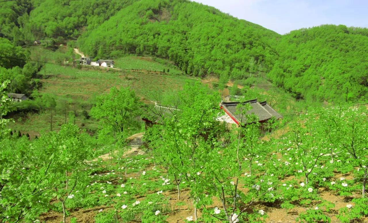 伊河源风景区农家3号院价格_洛阳伊河源农家住宿_伊河源风景区农家